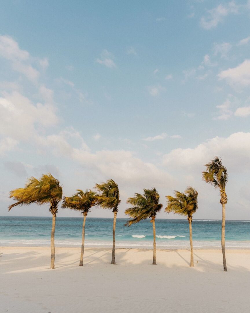 Top Beach Areas to Invest in Luxury Villas in Mexico tulum