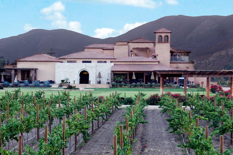 Your Guide to Valle De Guadalupe, Mexico's Wine Country InMexico