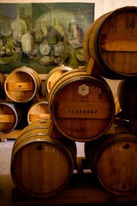 Vineyard