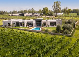 Vineyards