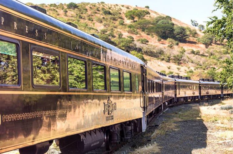 All Aboard the Tequila Train! InMexico