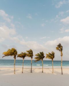 Top Beach Areas to Invest in Luxury Villas in Mexico tulum